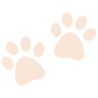 paws-7 (3)